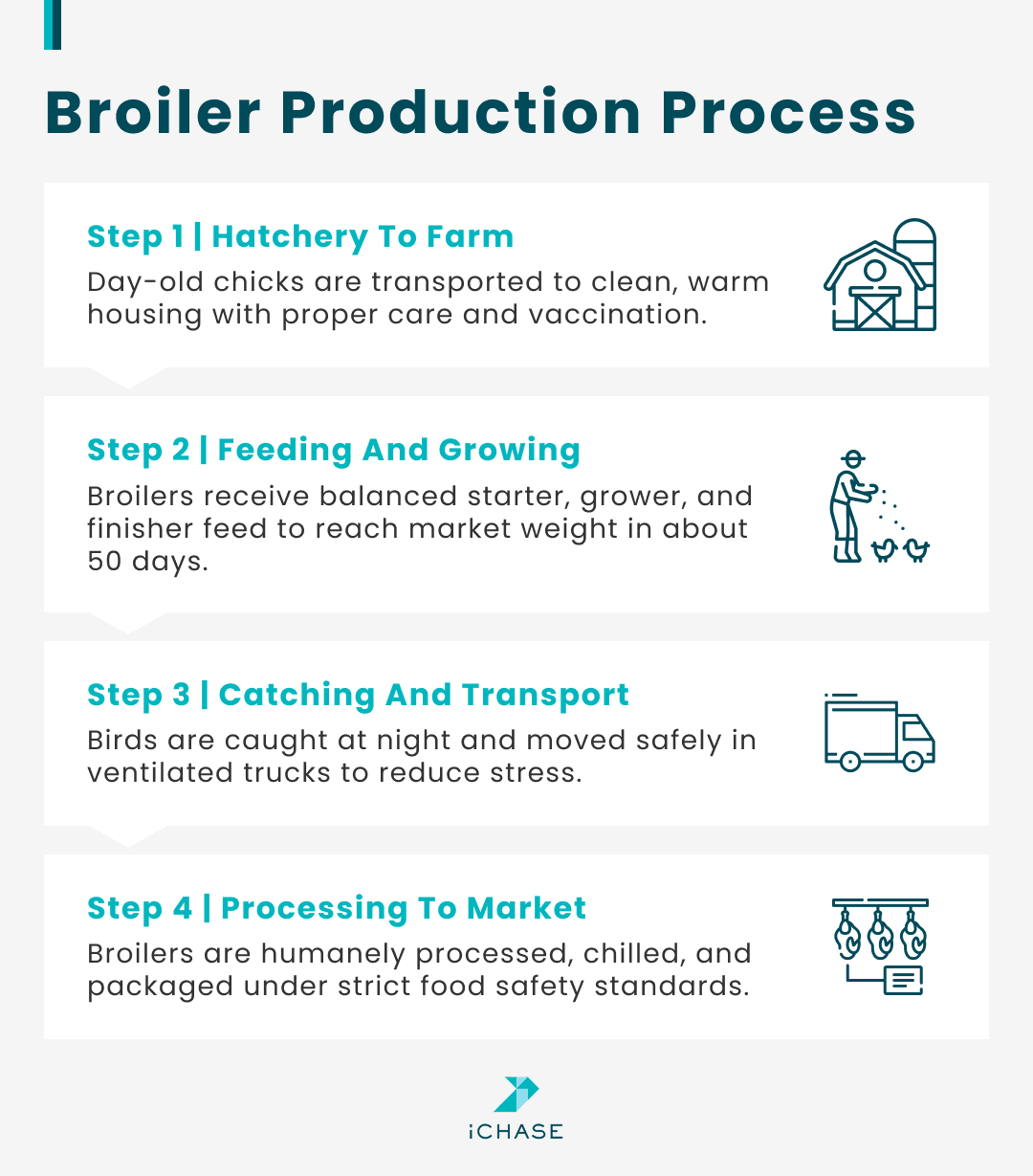 An infographic shows the process of common broiler production.