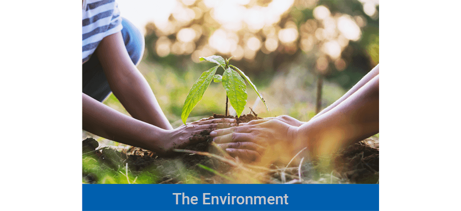 The Environment