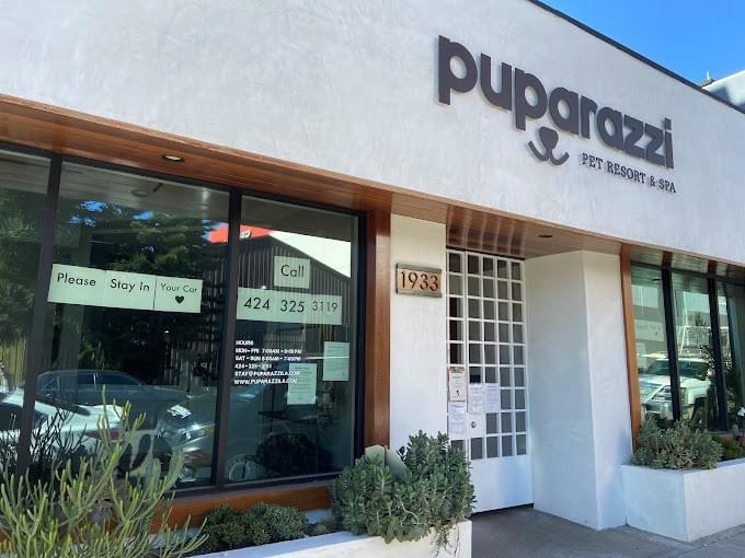 Finding the Perfect Dog Daycare in Los Angeles dog da...