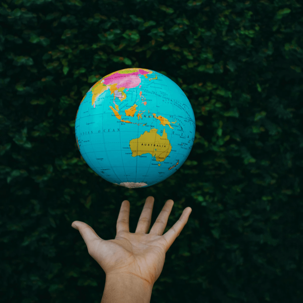 耶穌的拯救讓整個受造的世界也要得到更新。（www.pexels.com By Nothing Ahead）