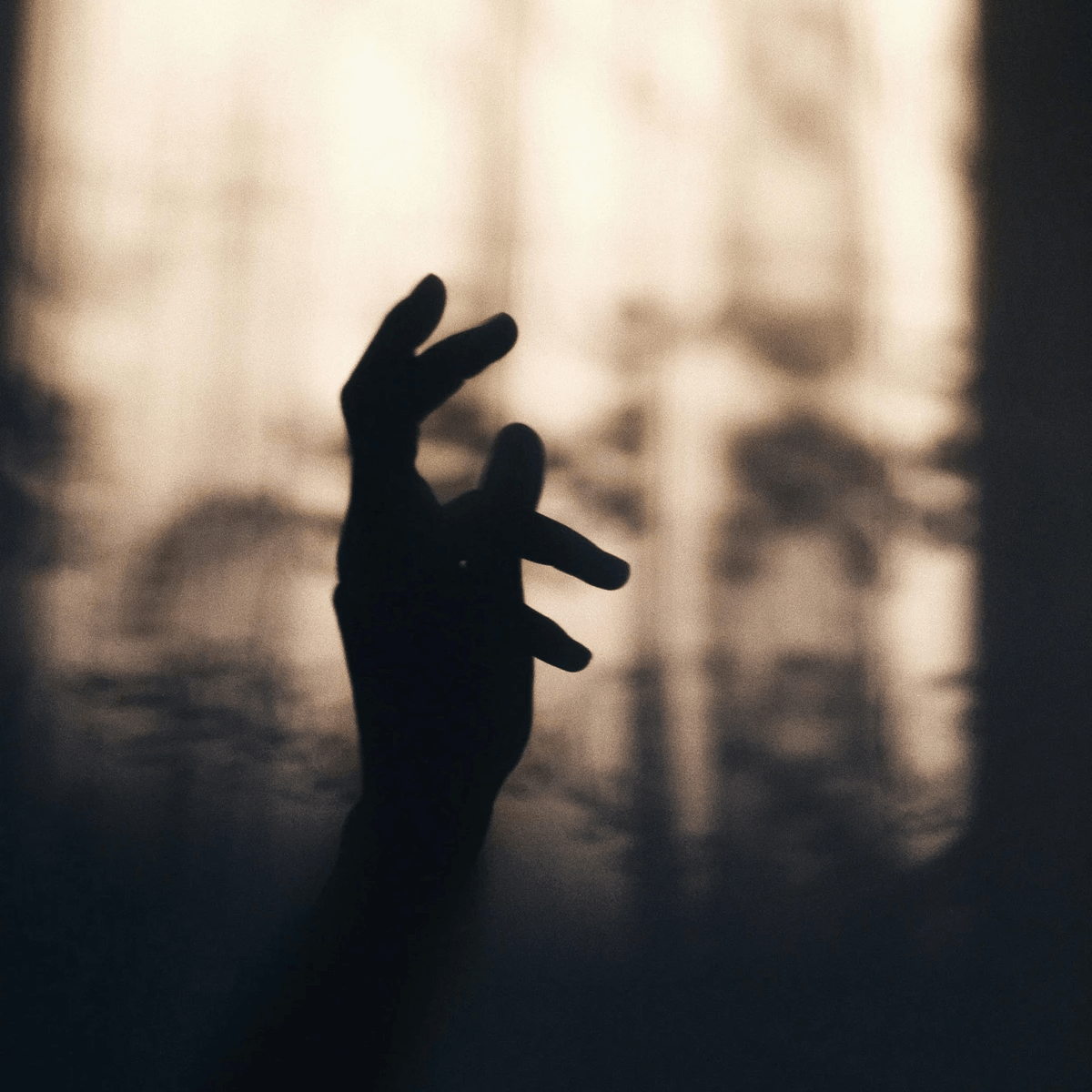 （www.pexels.com By ozundunyasina）