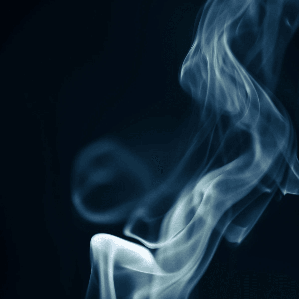 （www.pexels.com By Marek Piwnicki）