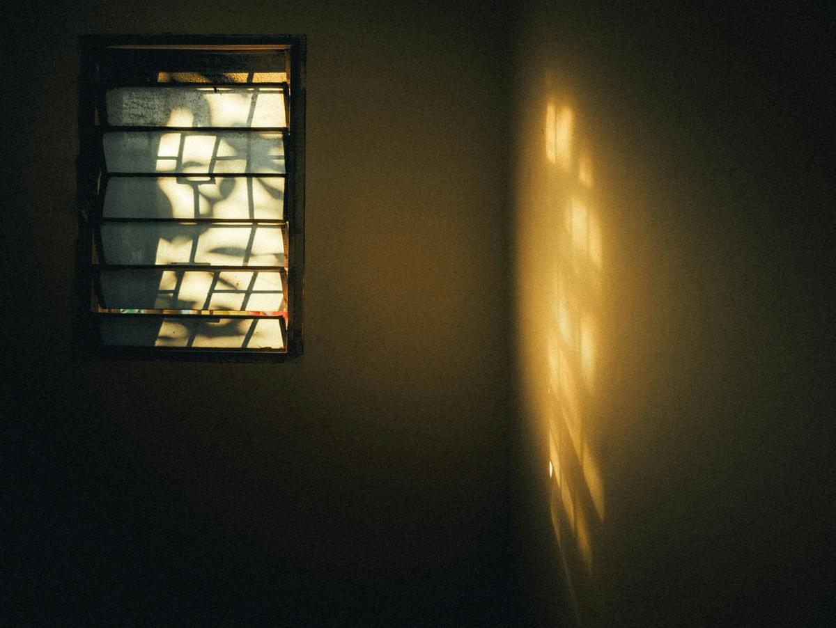 我們需要推動一場從「單一媒體思維」轉向「IP 生態系思維」的戰略轉向，像是從「出版者」到「內容策展人」的整合之路。www.pexels.com By Toàn Nguyễn Huy