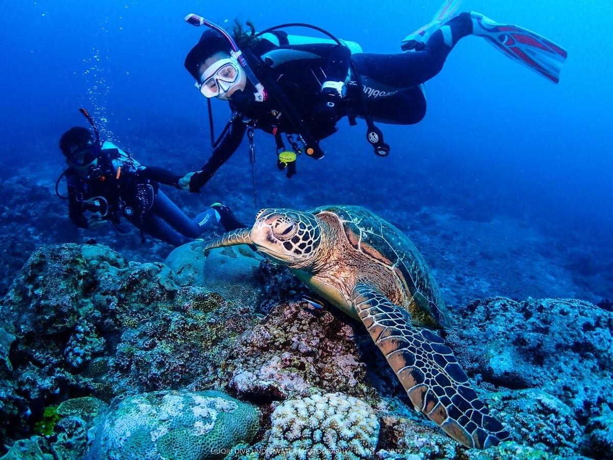 成為初階潛水員（OW）後的潛水與小琉球海龜。