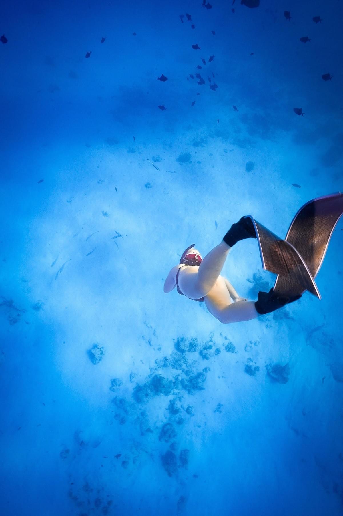 和大衛第二次的出國潛水，入住馬爾地夫居民島，7天6夜潛了13潛 。踢碳纖長蛙鞋自由潛水護士鯊城。