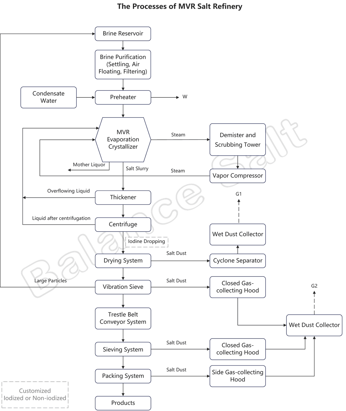 The Processes of MVR Salt Refinery