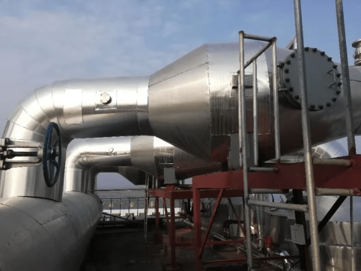 Entrainment Seperator for Salt Refinery