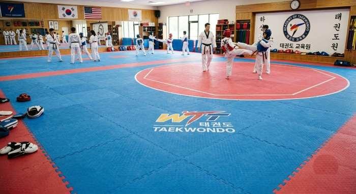 Taekwondo Mat