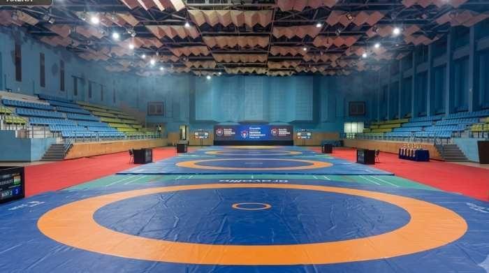 Wrestling Mat