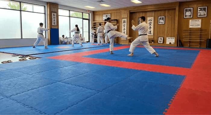 Premium Karate Mats