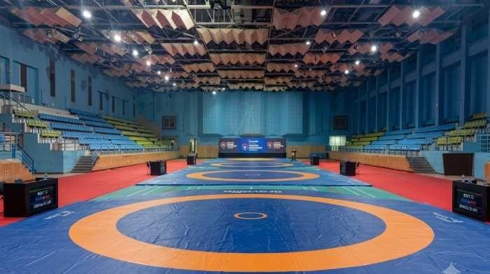 Wrestling Mat