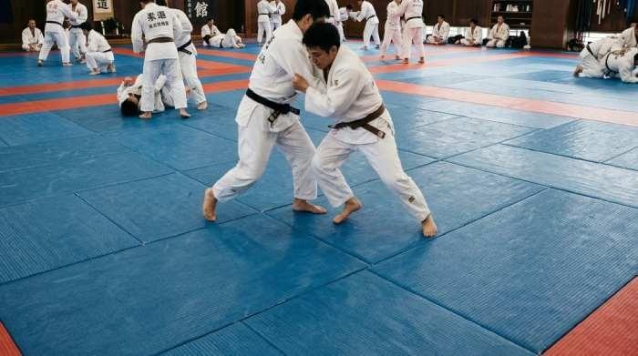 Judo Mat