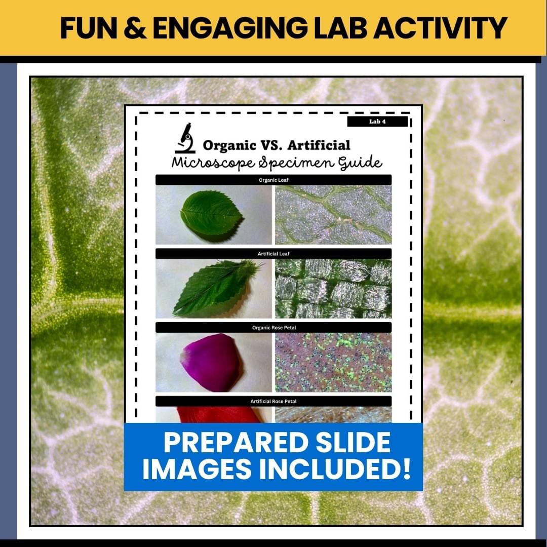Microscope Investigation Lab Activity (PDF)