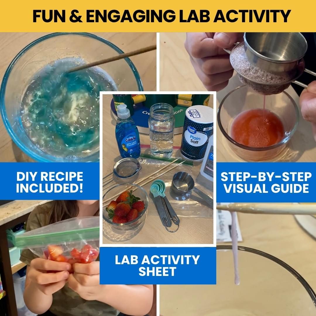 DNA Extraction Lab Activity (PDF)