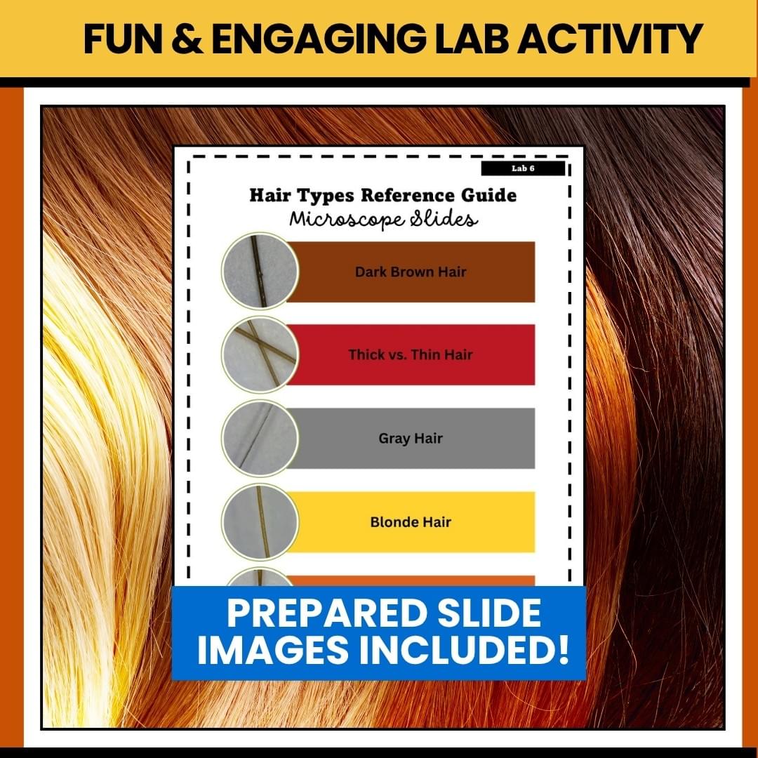 Hair Analysis Lab Activity (PDF)