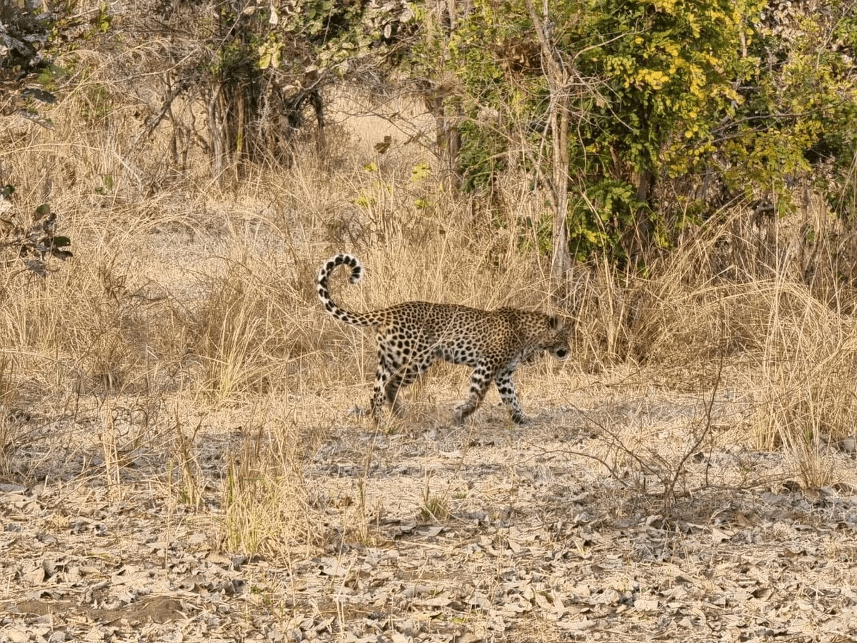 beautiful sunset over the Zambezi river in Livingstone