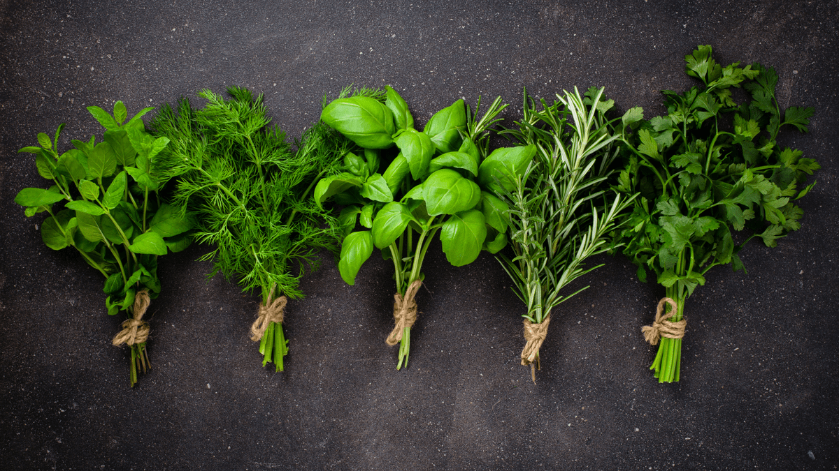 How to Start an Herb Garden (4 Steps) Blog Healthy L...