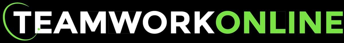 Logo for TeamWorkOnline.