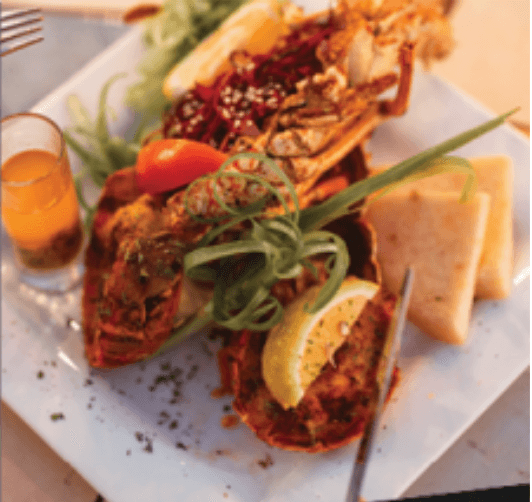 Join our Learning Networking Events and connect with peers and professionals, expanding your network within the travel industry. Networking Events What We Offer ATA Academy's course outline-ten modules covering Amadeus GDS basics to advanced, hotels with RateHawk demos, vacation packages with Special Travel and Jamaica Tourism reps, cruises via MCI, tech like Amadeus/B2B/B2C booking engines, PCI with Security Metrics, customer service, business basics, and ASTA/ACTA prep. Added guest lectures mid-modules, a bonus Learning Networking Events & Travel Tech Forum on October eight, two thousand twenty-five. Topped it with a two hundred ninety-nine-dollar annual membership unlocking all that, plus two free Amadeus hours, extra two-hour sessions for ninety-nine bucks, and discounts on tech products