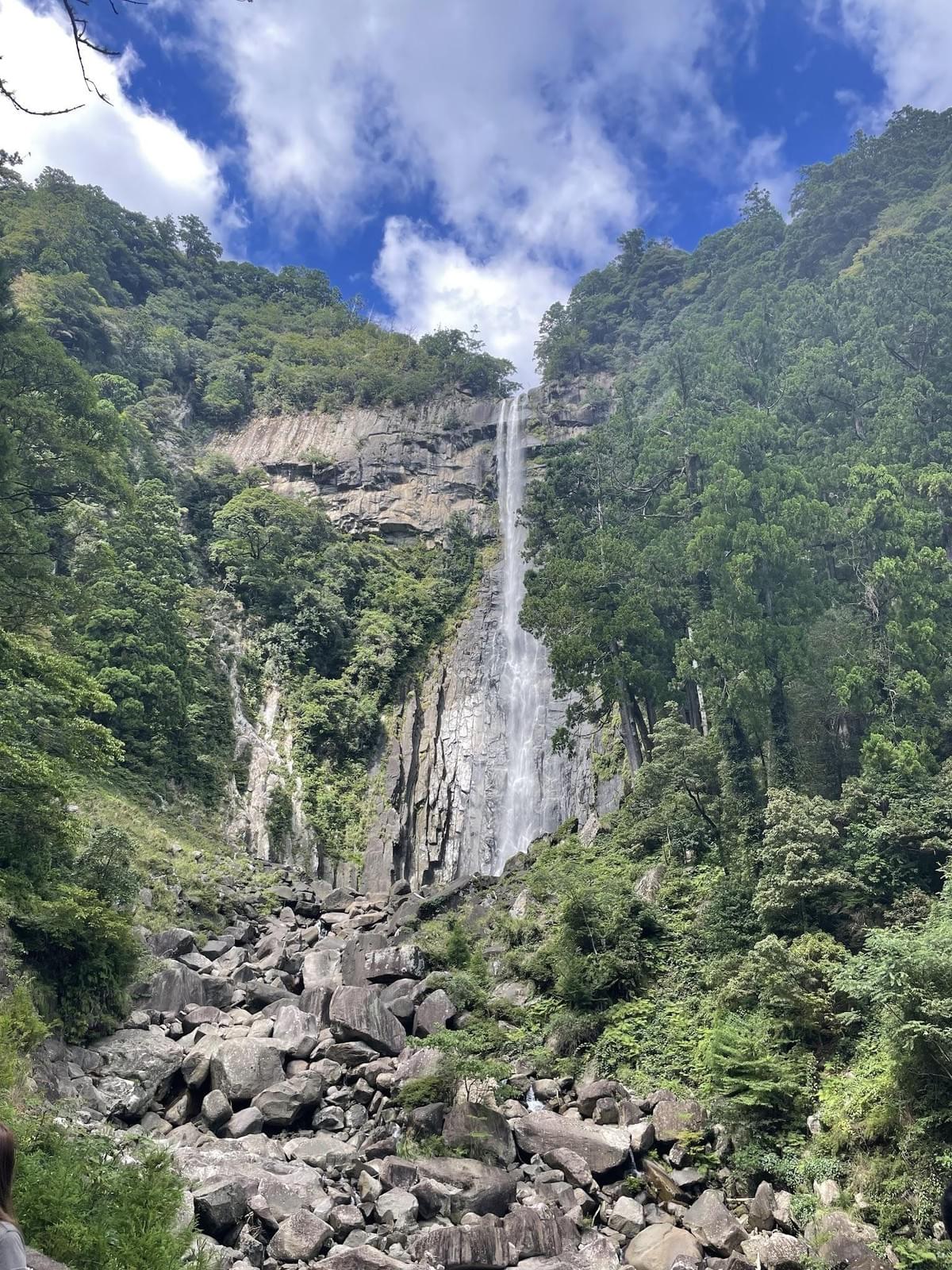 Section image
