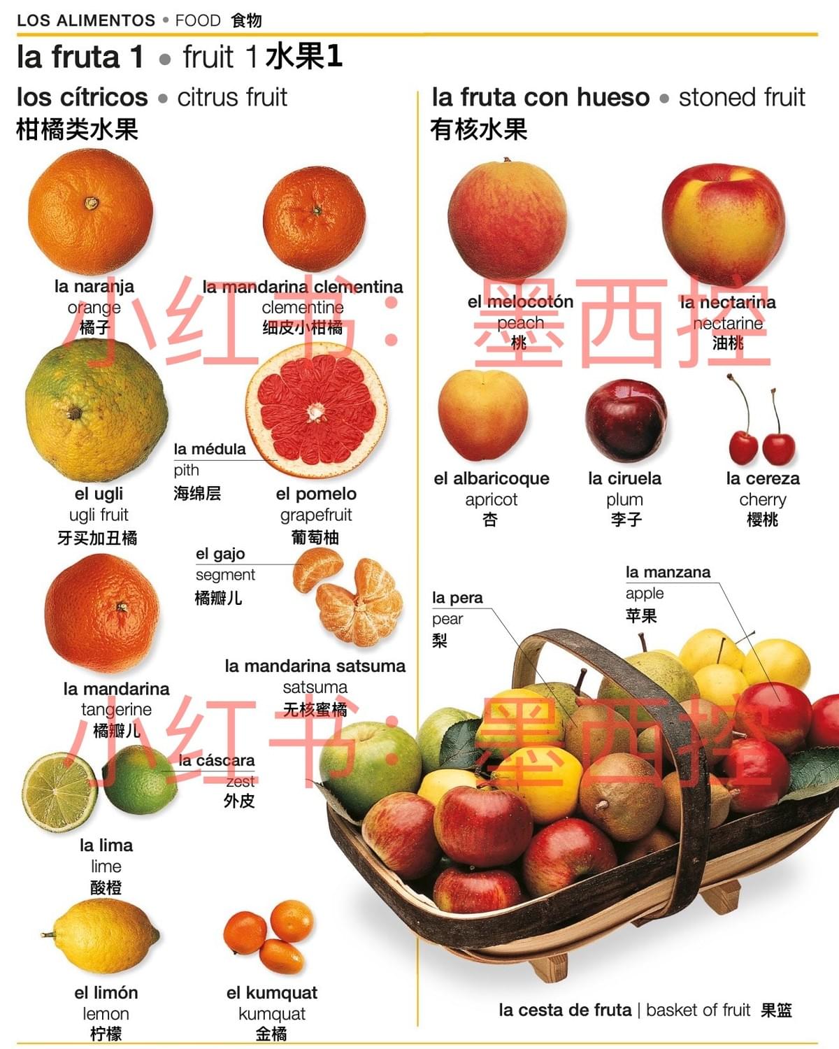 水果1-柑橘类水果、有核水果