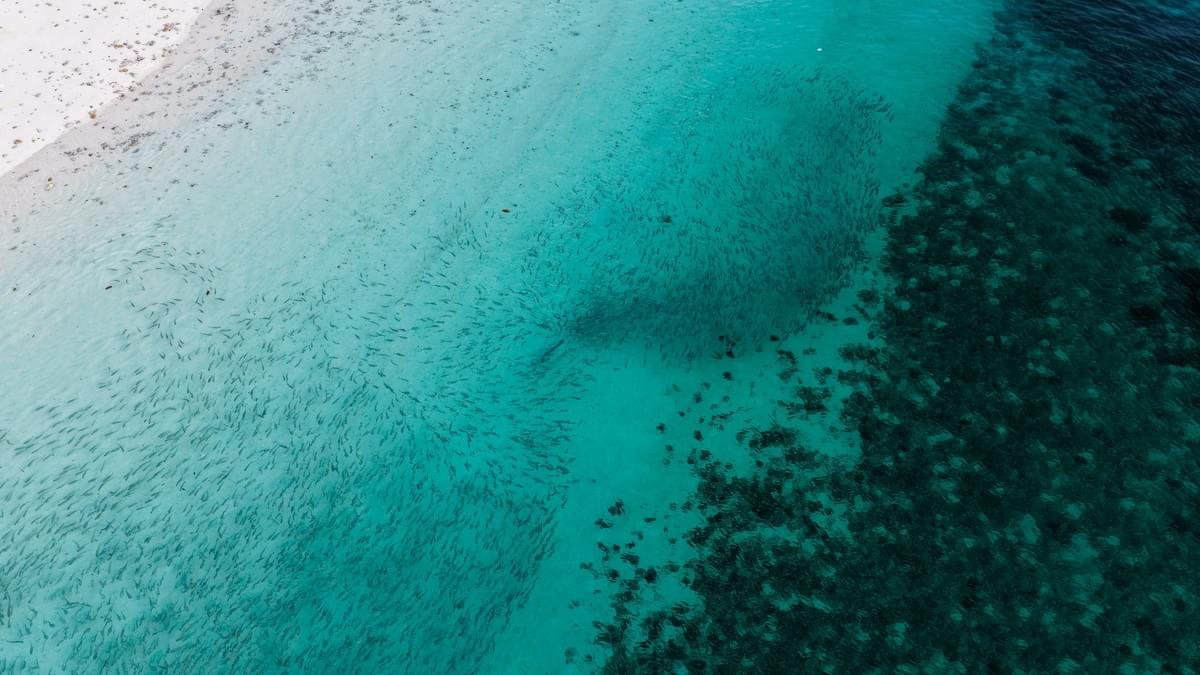 Honeymoon island day tour (Myanmar)