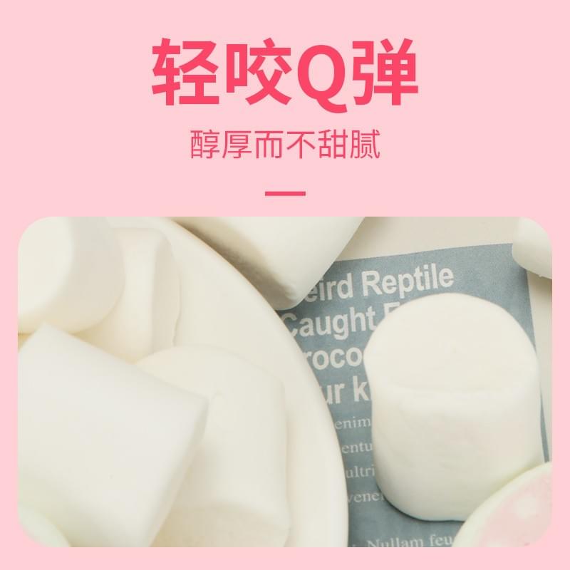 Watermelon Shaped Marshmallow 90g