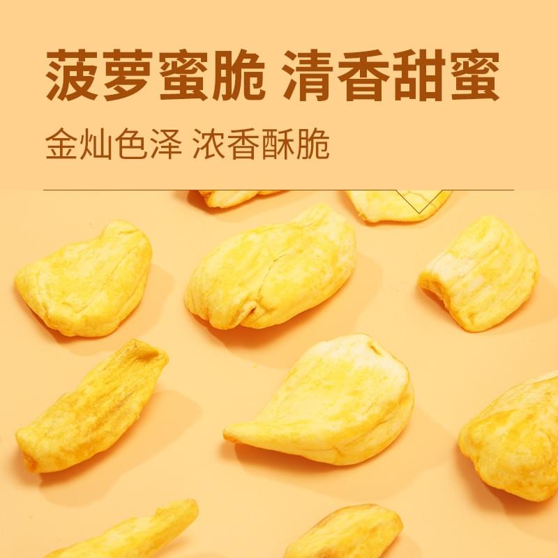Vietnamese Jackfruit Crisps 40g