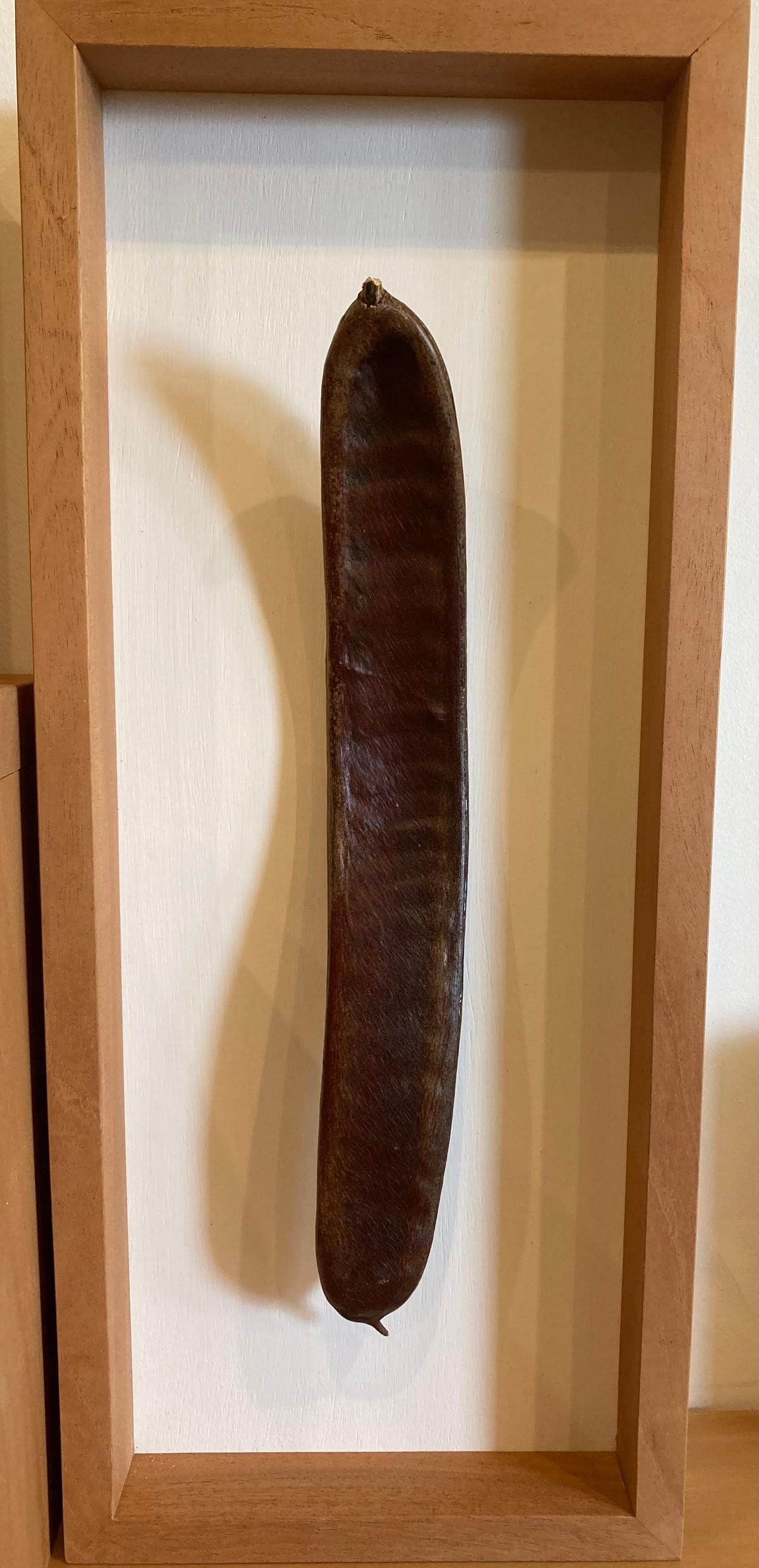 Décoration Murale Gousse de Flamboyant 