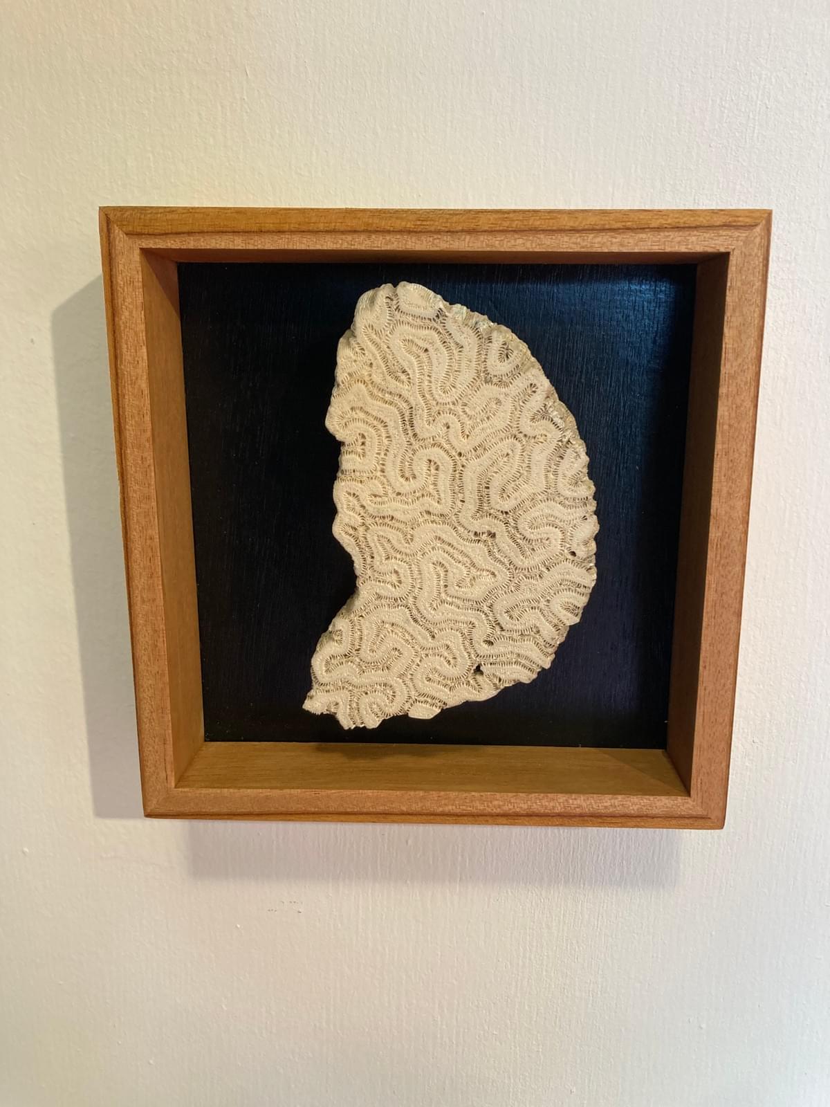 Décoration murale corail