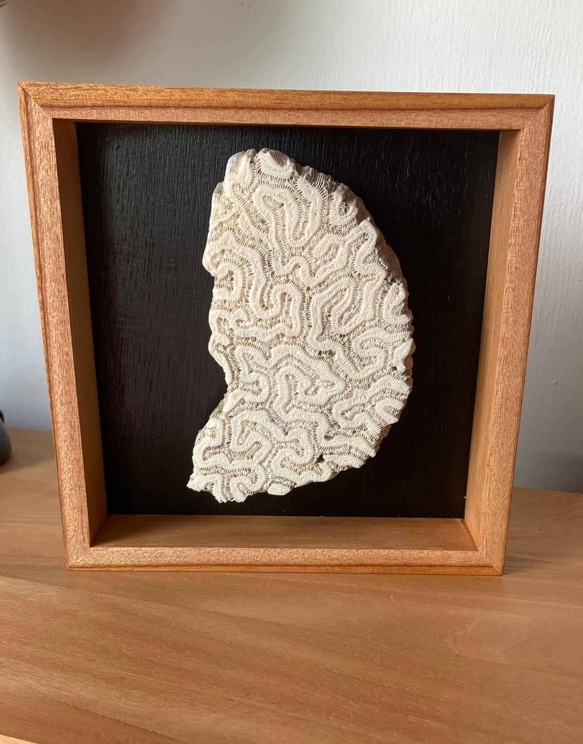 Décoration murale corail