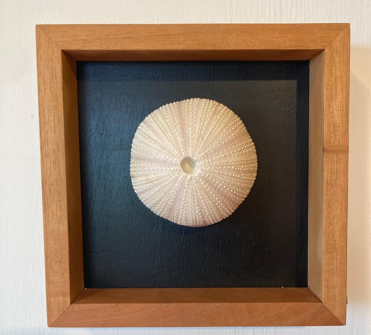 Décoration Murale Oursin