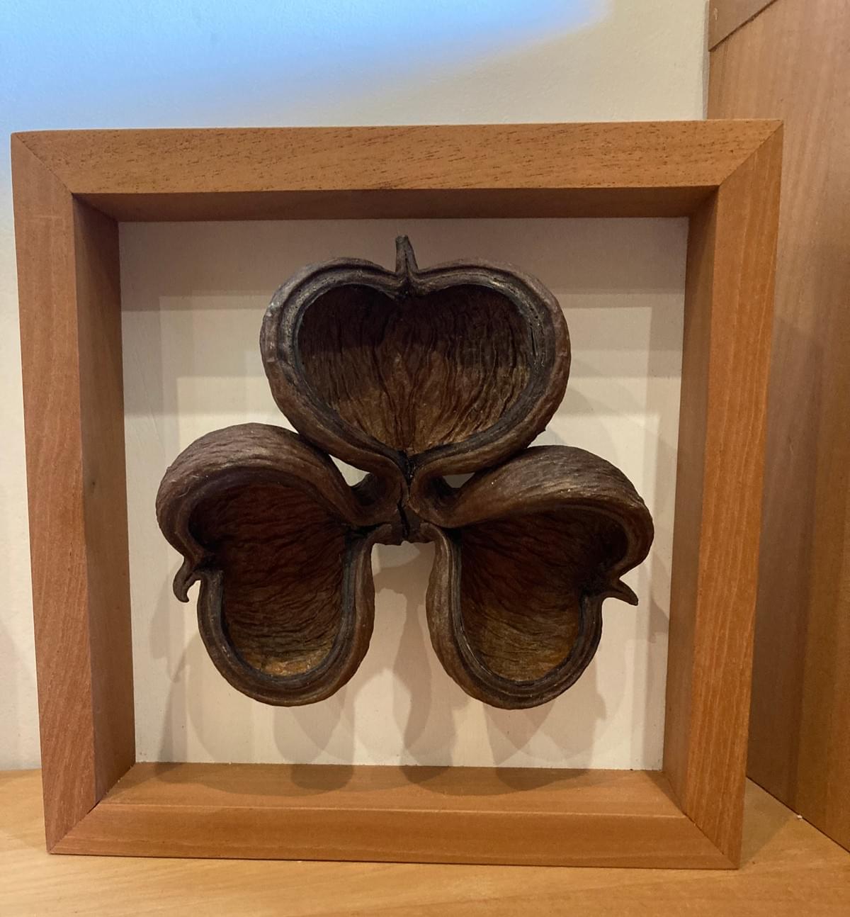 Décoration Murale Gousse de Châtaignier Marron 