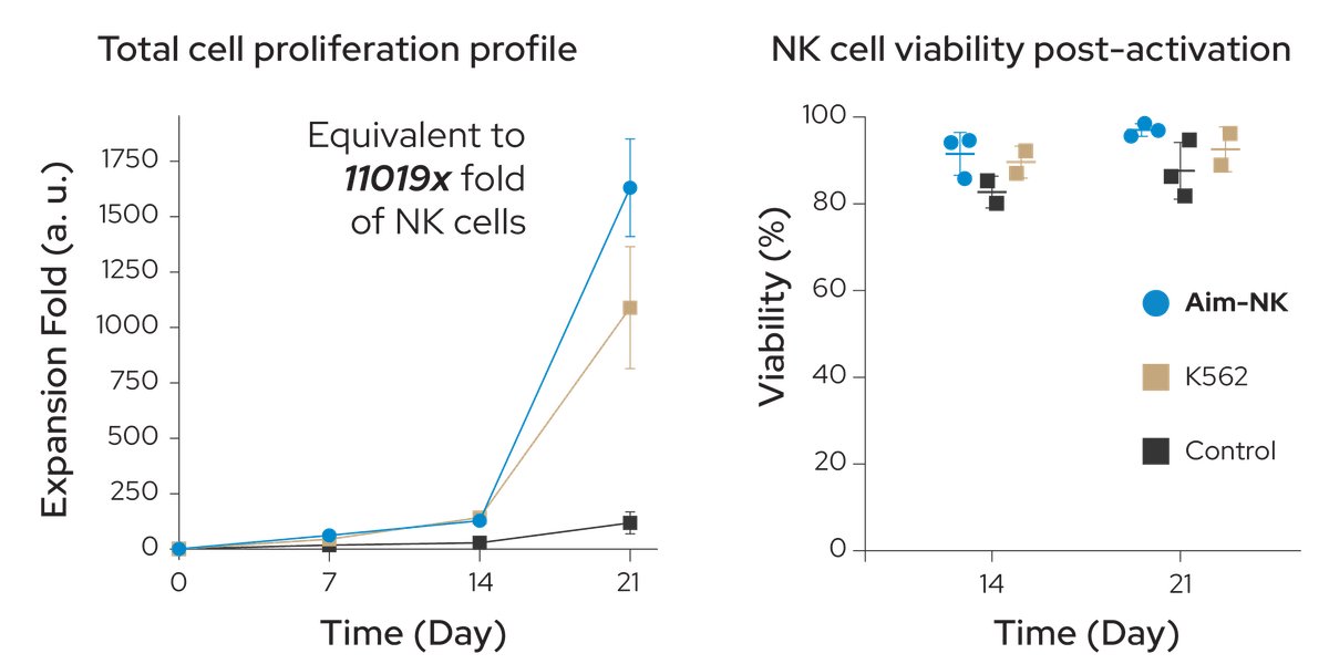 Aim-NK expands total cell population by 1630X, factoring in the NK cell fraction, that is a 11019X fold expansion of NK cells. NK cell viability also outperforms feeder cells and control.
