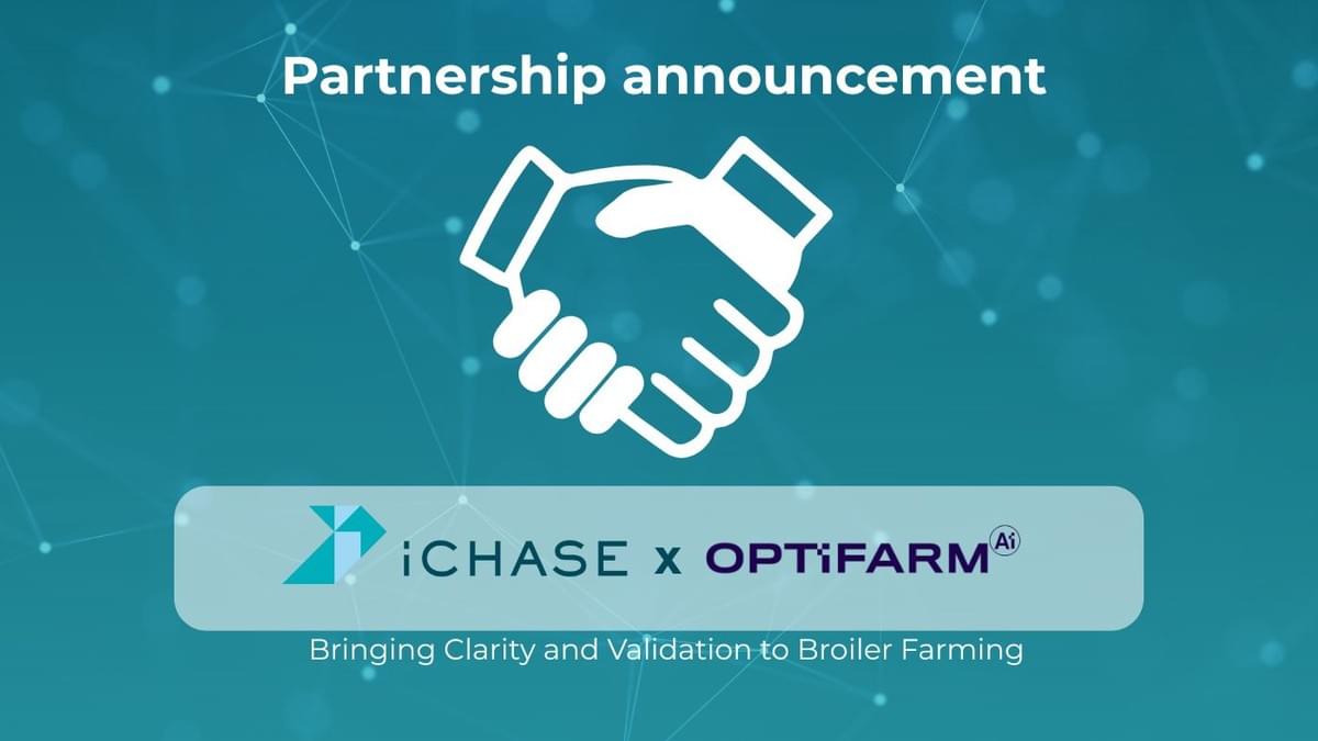 iCHASE is announcing a partnership with Optifarm, combining iCHASE’s precision weight data with AI-driven intelligence to bring unprecedented clarity and validation to broiler farming.