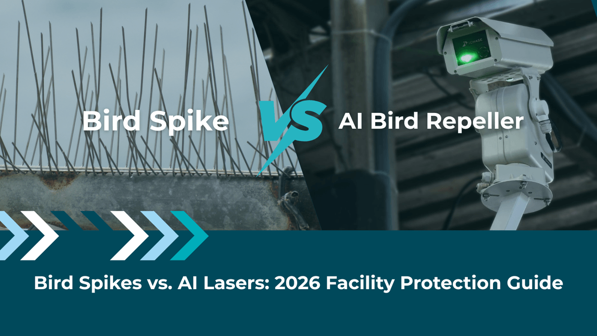 Are bird spikes still effective? Compare traditional bird control with AI laser deterrence. Learn how to secure your facility's biosecurity. Book a demo.