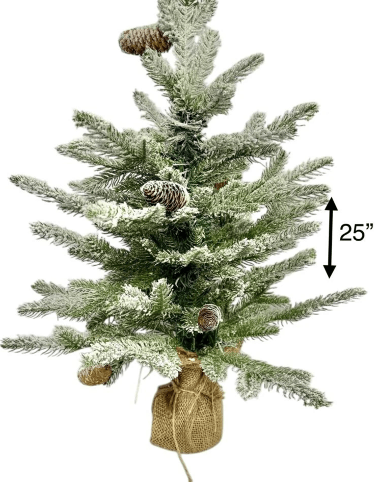 Section image