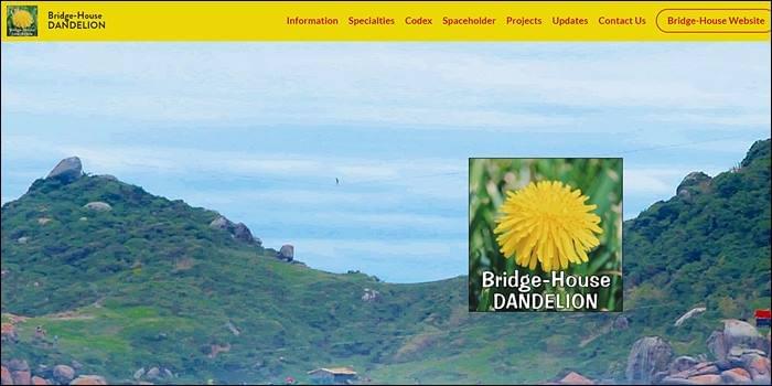 Bridge-House-Dandelion, StartOver.xyz, powered by Possibility Management Bridge-House-Dandelion, StartOver.xyz, powered by Possibility Management