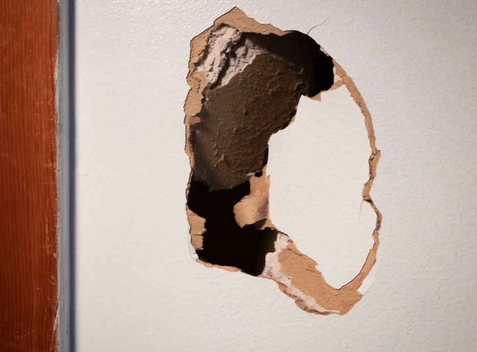 handyman repair service drywall repair