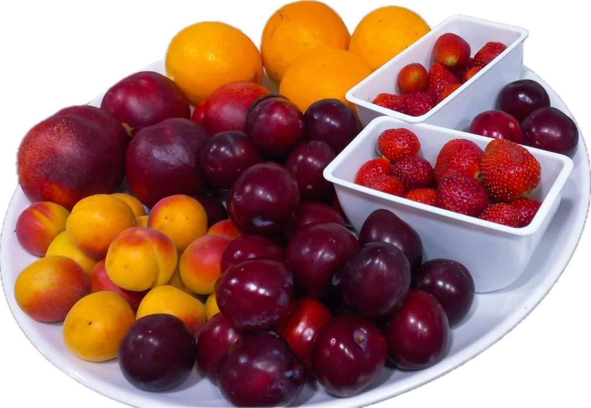 Our Catering  Services