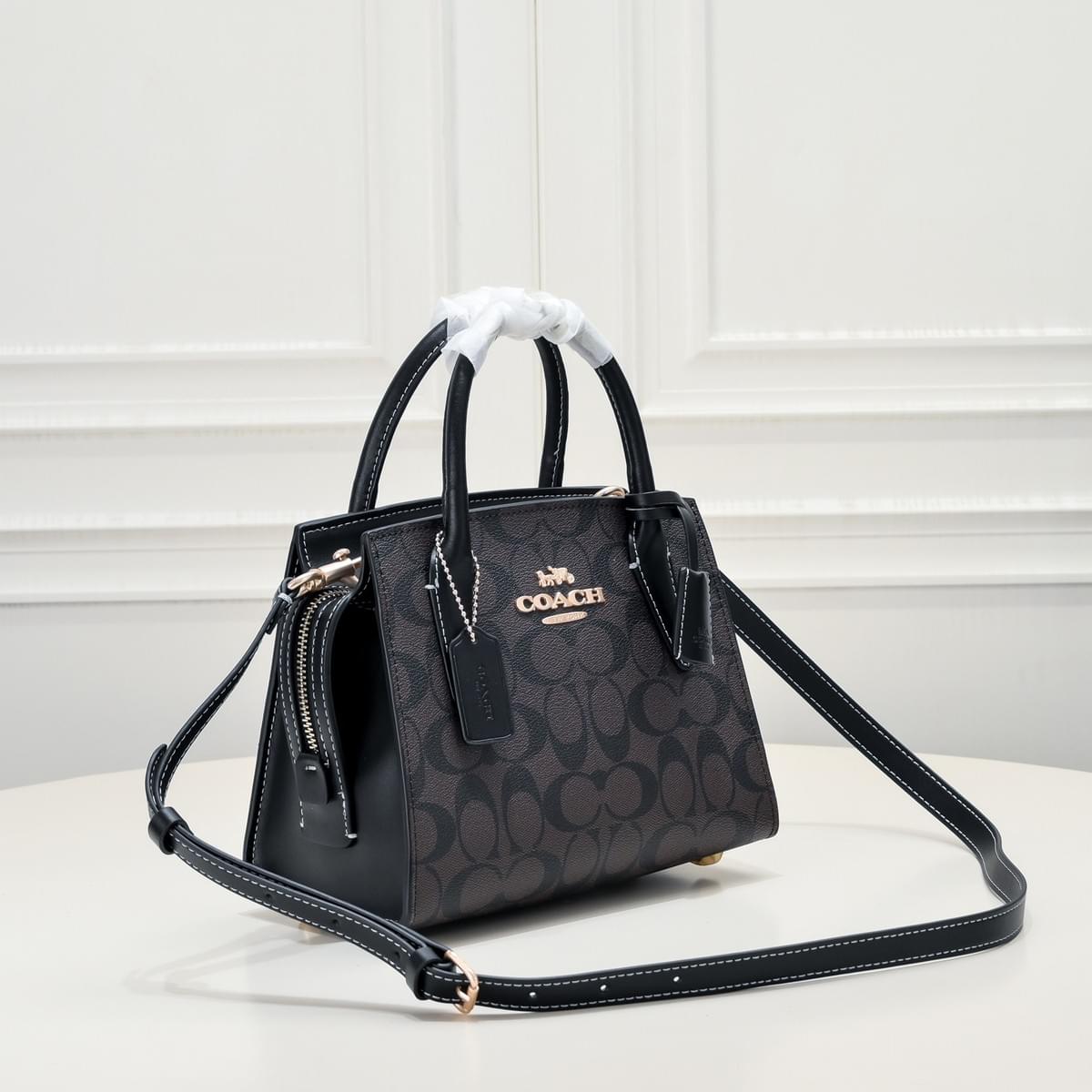 Andrea CarryAll