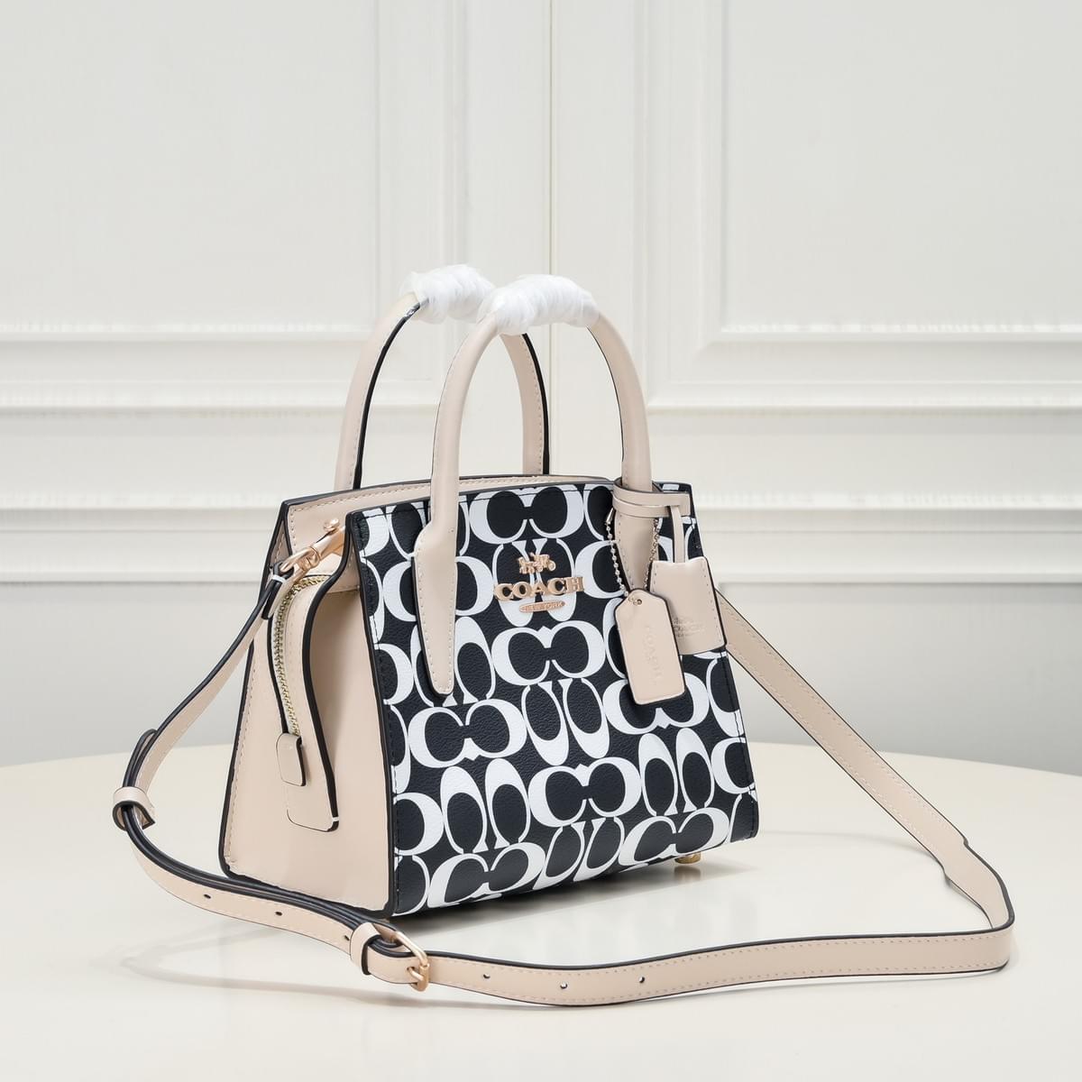 Andrea CarryAll