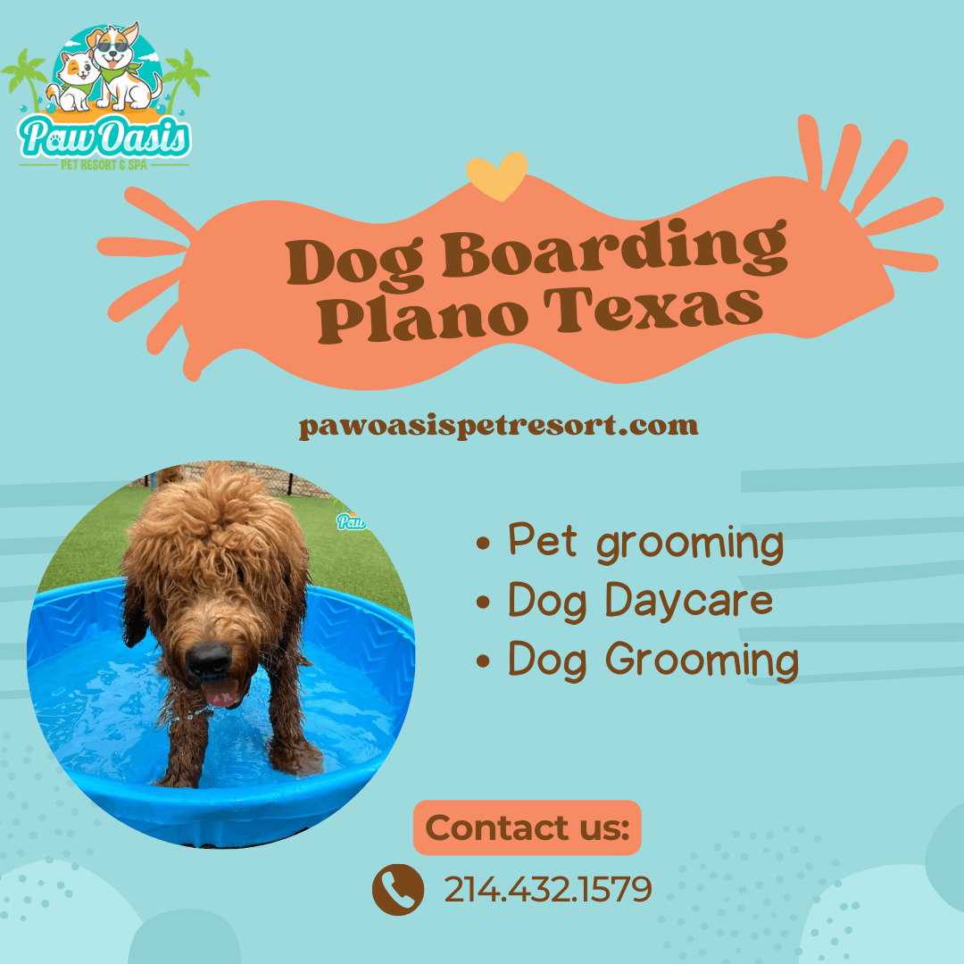 How Dog Boarding Helps Keep Your Pet Safe During Vacati...