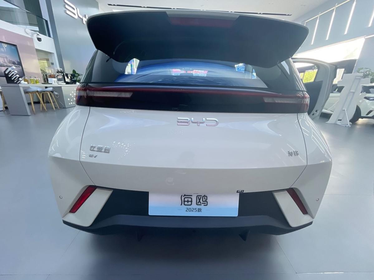 BYD Seagull 2025 EV
