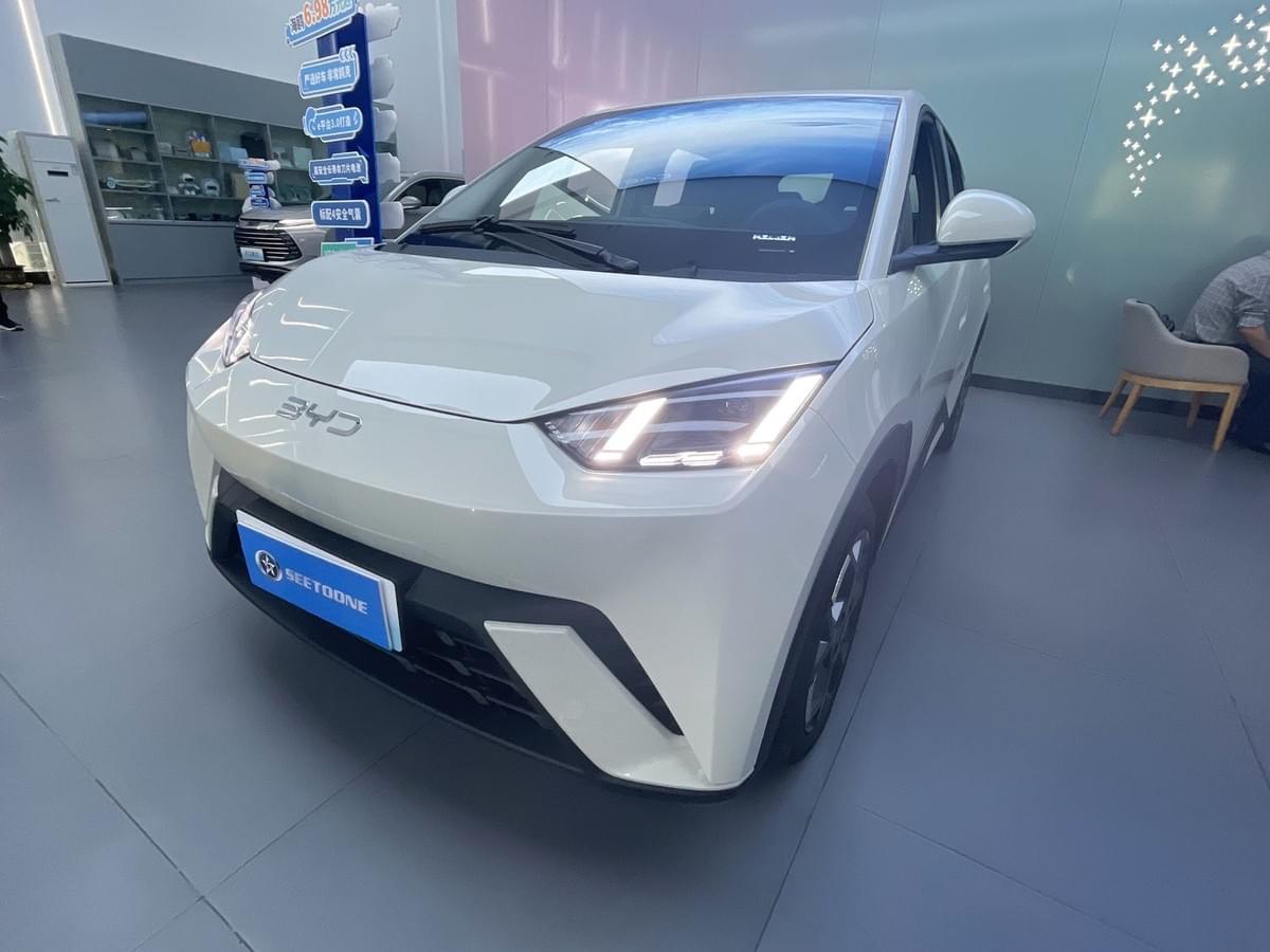 BYD Seagull 2025 EV
