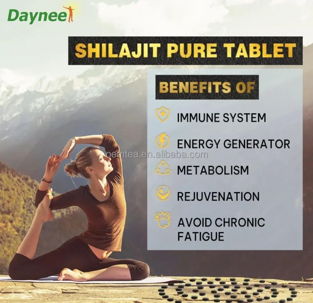 Daynee Shilajit from Himalayas Tablets 喜马拉雅山喜来芝保健品