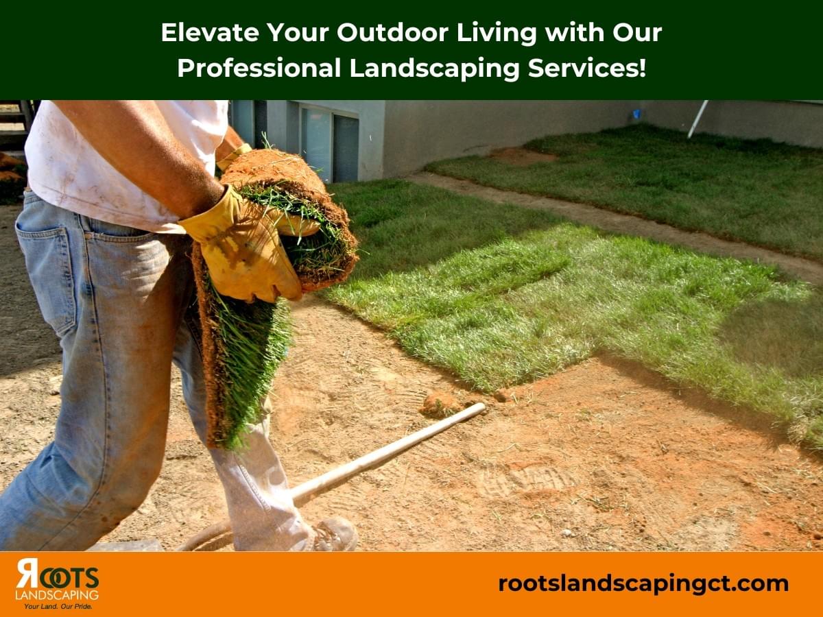 Landscaper Roots Landscaping Bethel, CT