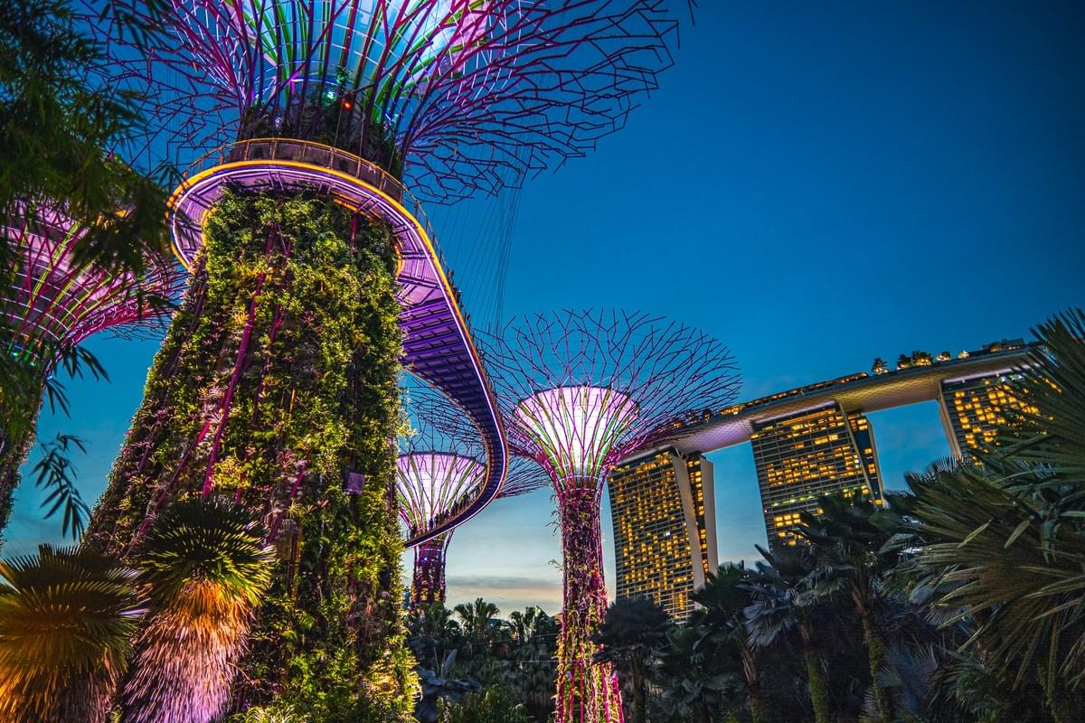 Vibrant Supertree Grove with colorful lights and Marina Bay Sands at dusk in Singapore