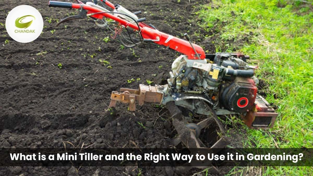 How to Use a Mini Tiller Machine in Gardening? Mini T...