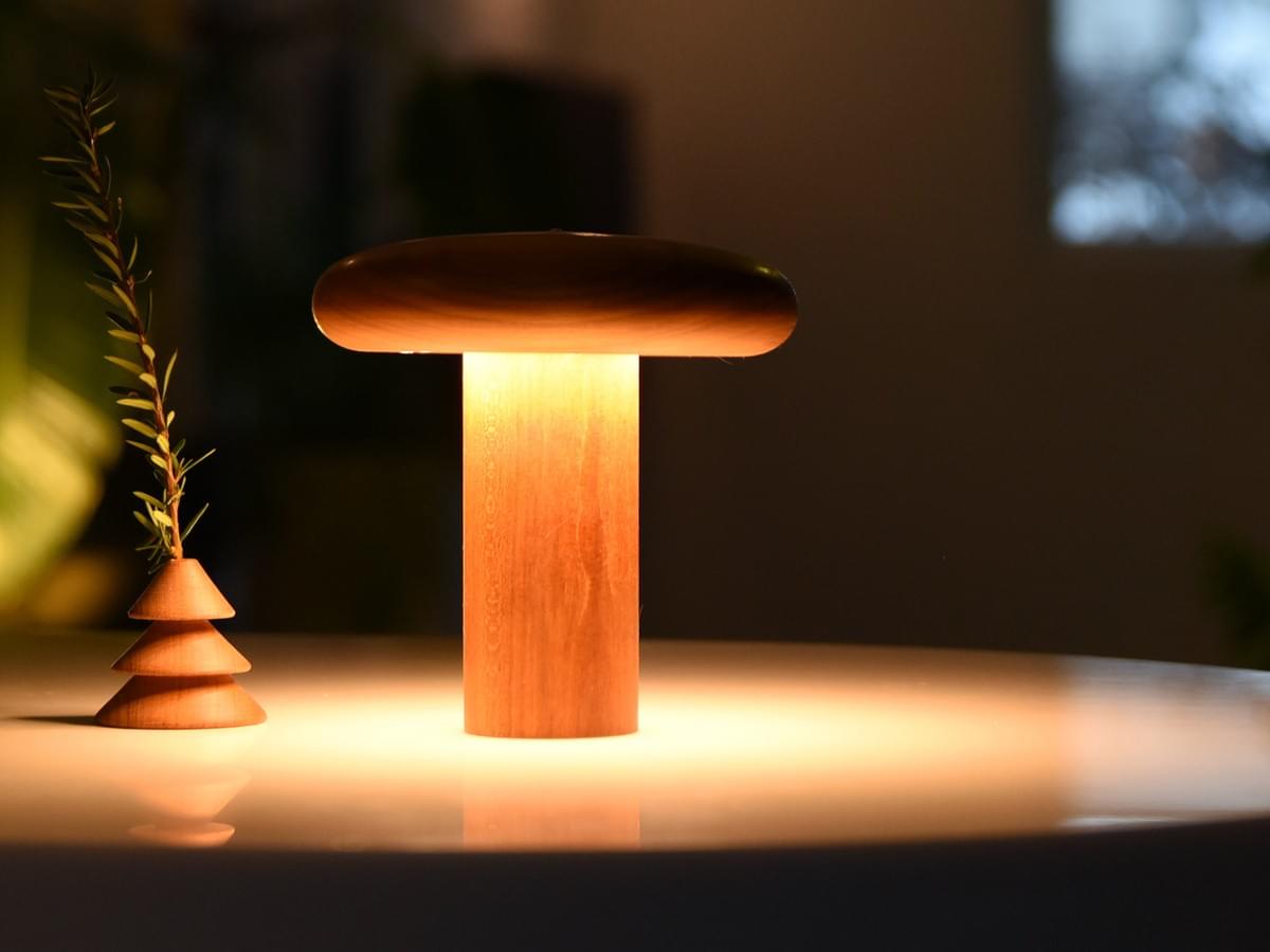 [D.RISING] Baobab Lamp-Round